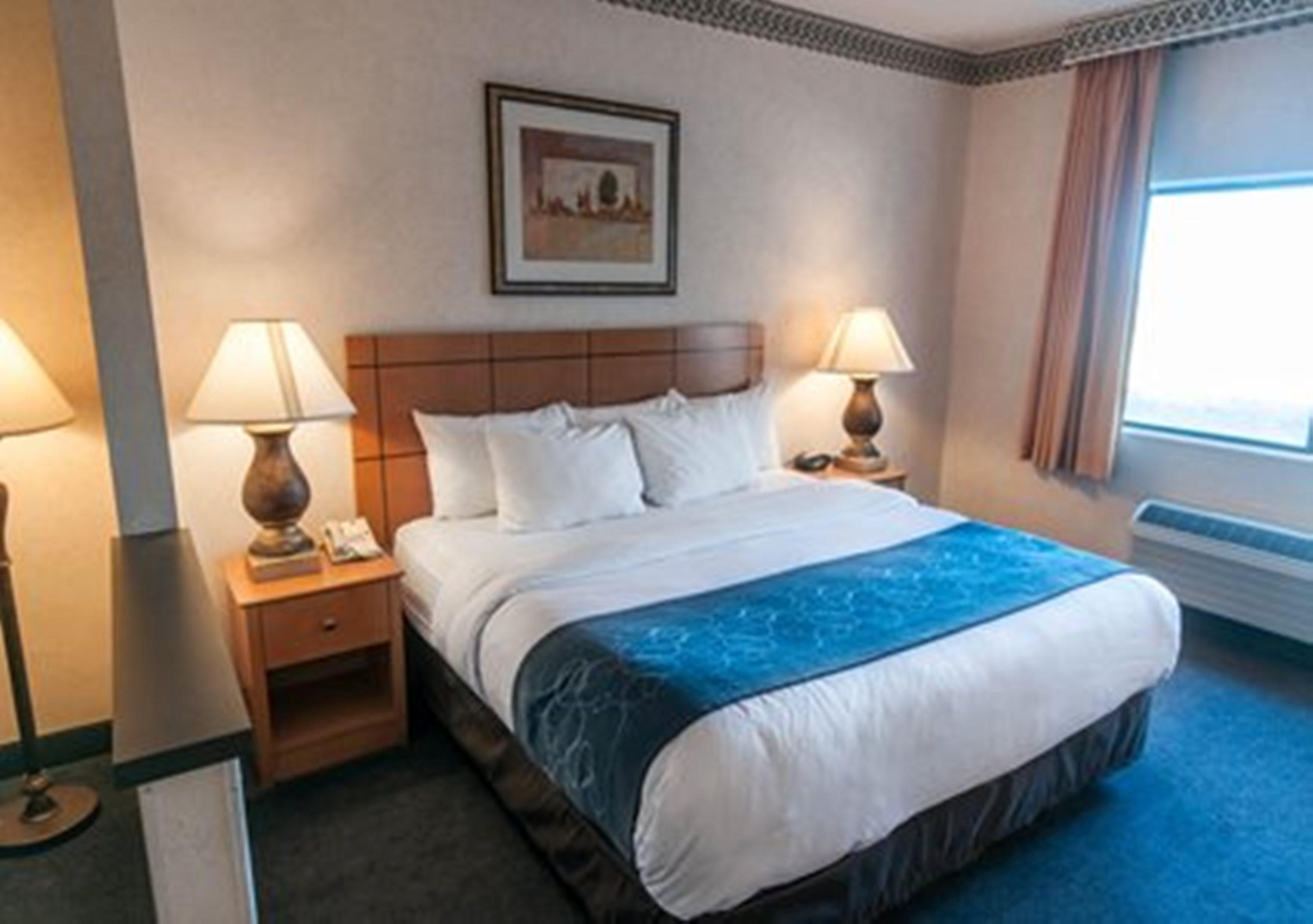 לאס קרוסס Comfort Suites University מראה חיצוני תמונה