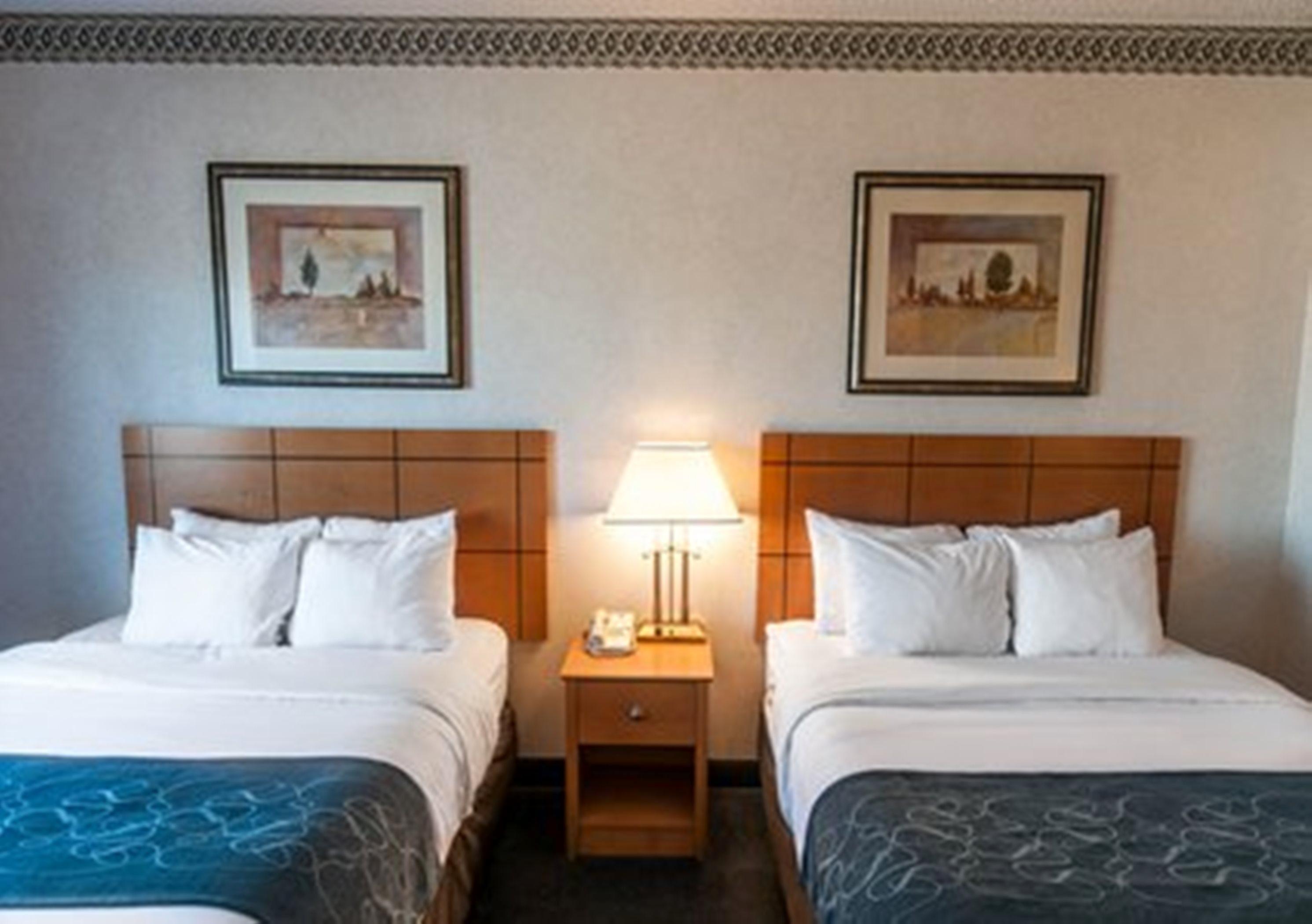 לאס קרוסס Comfort Suites University מראה חיצוני תמונה