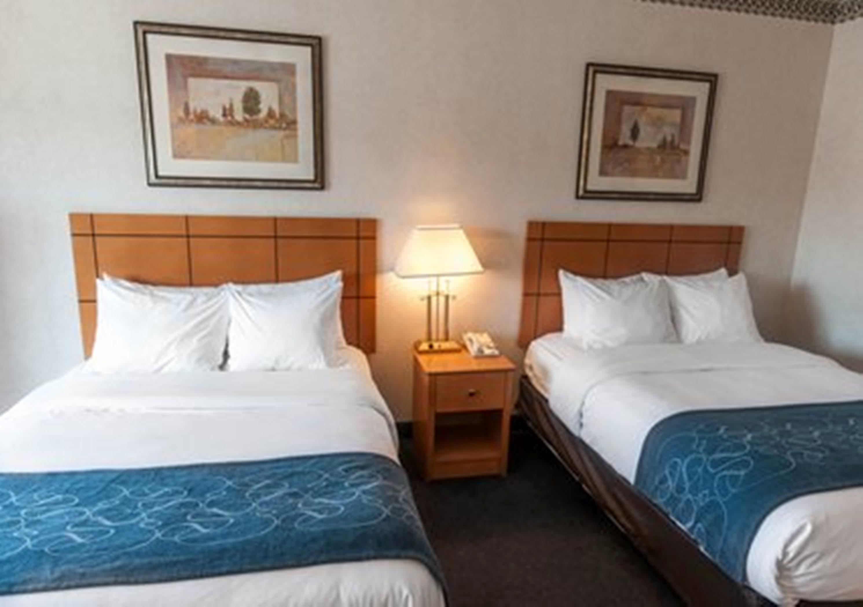 לאס קרוסס Comfort Suites University חדר תמונה