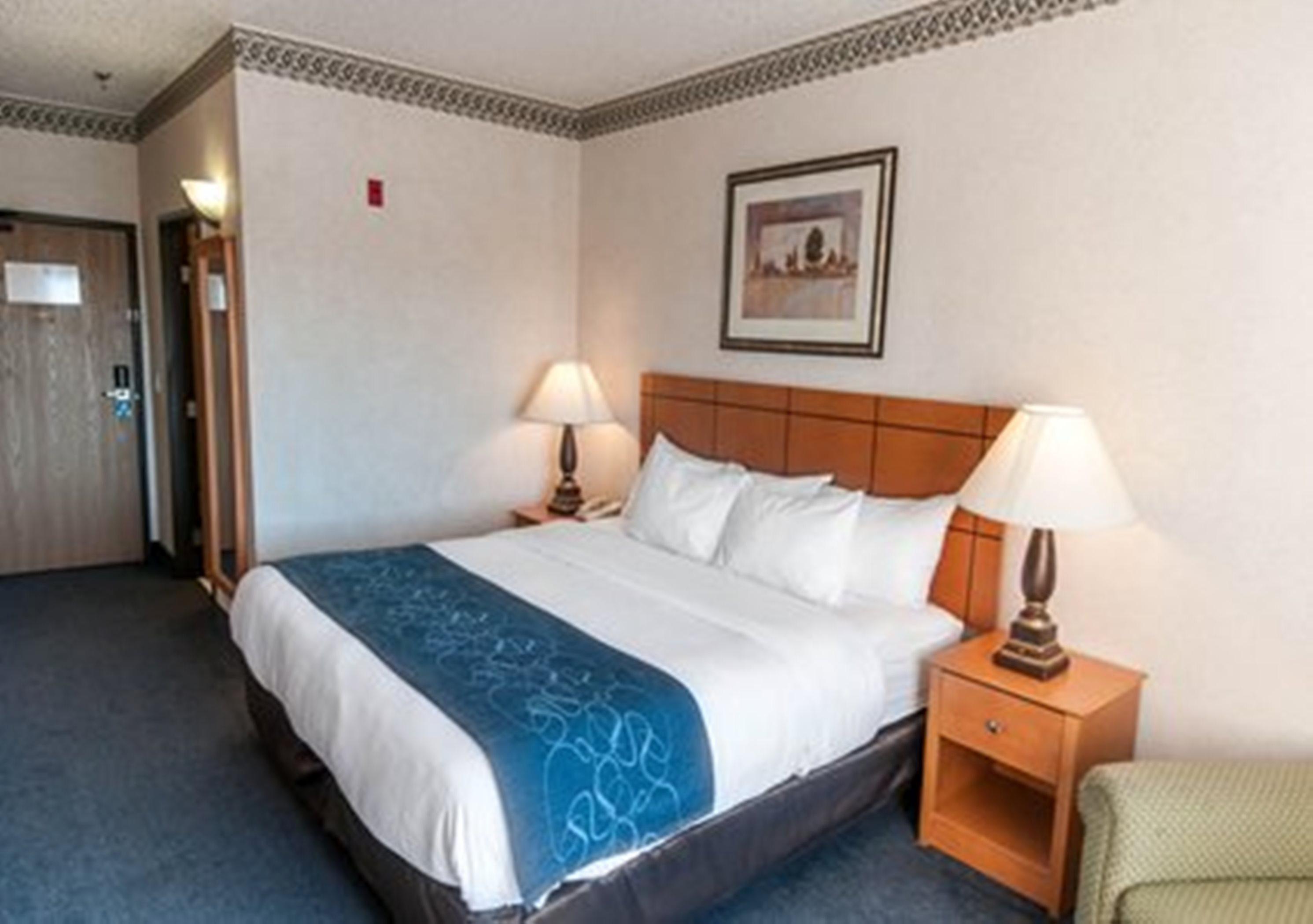 לאס קרוסס Comfort Suites University מראה חיצוני תמונה