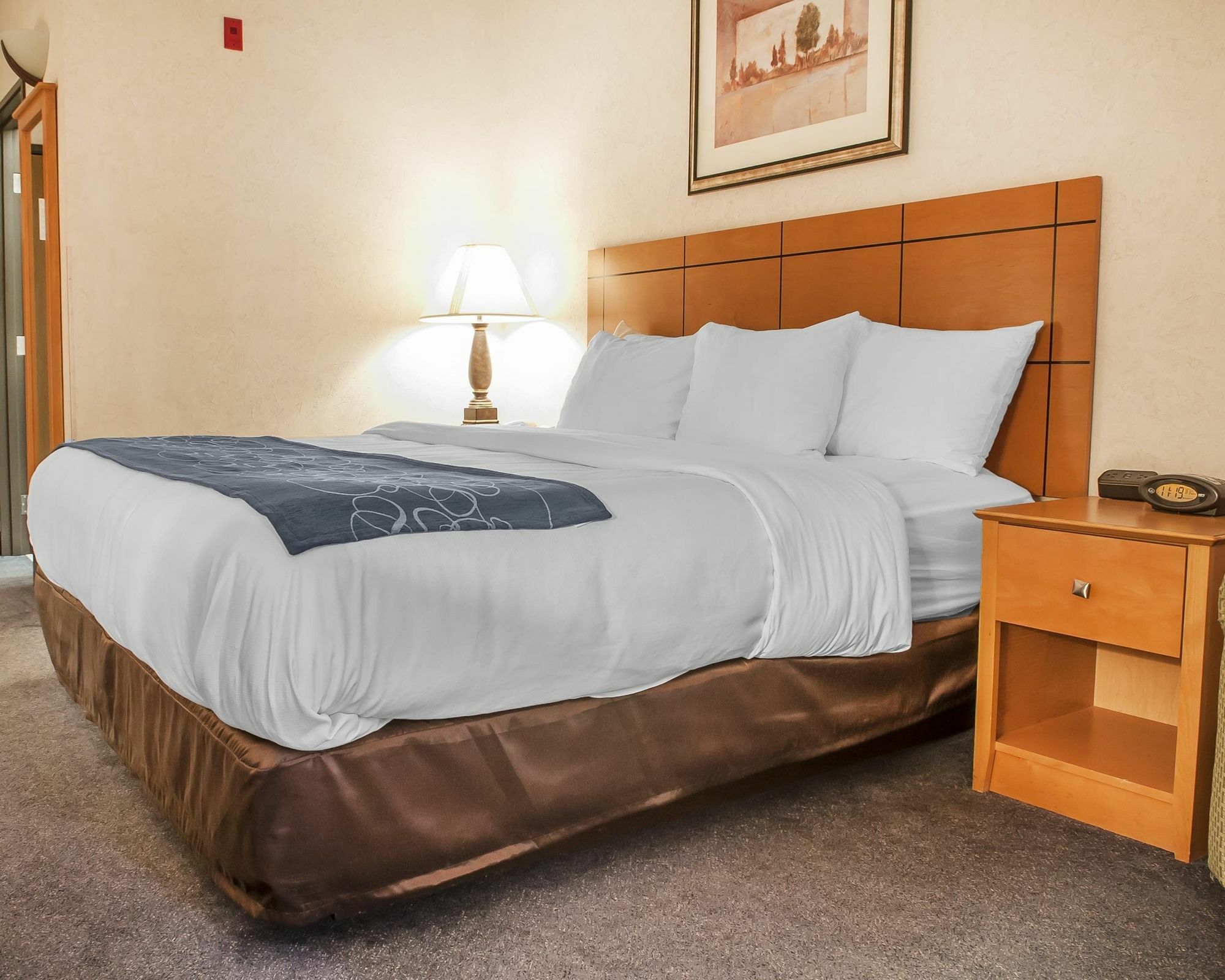 לאס קרוסס Comfort Suites University מראה חיצוני תמונה